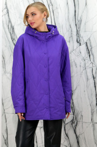 Куртка демисезонная (синтепон), на замке/капюшон., фиолетовый, 75 см 3382-75 РТ-9140
